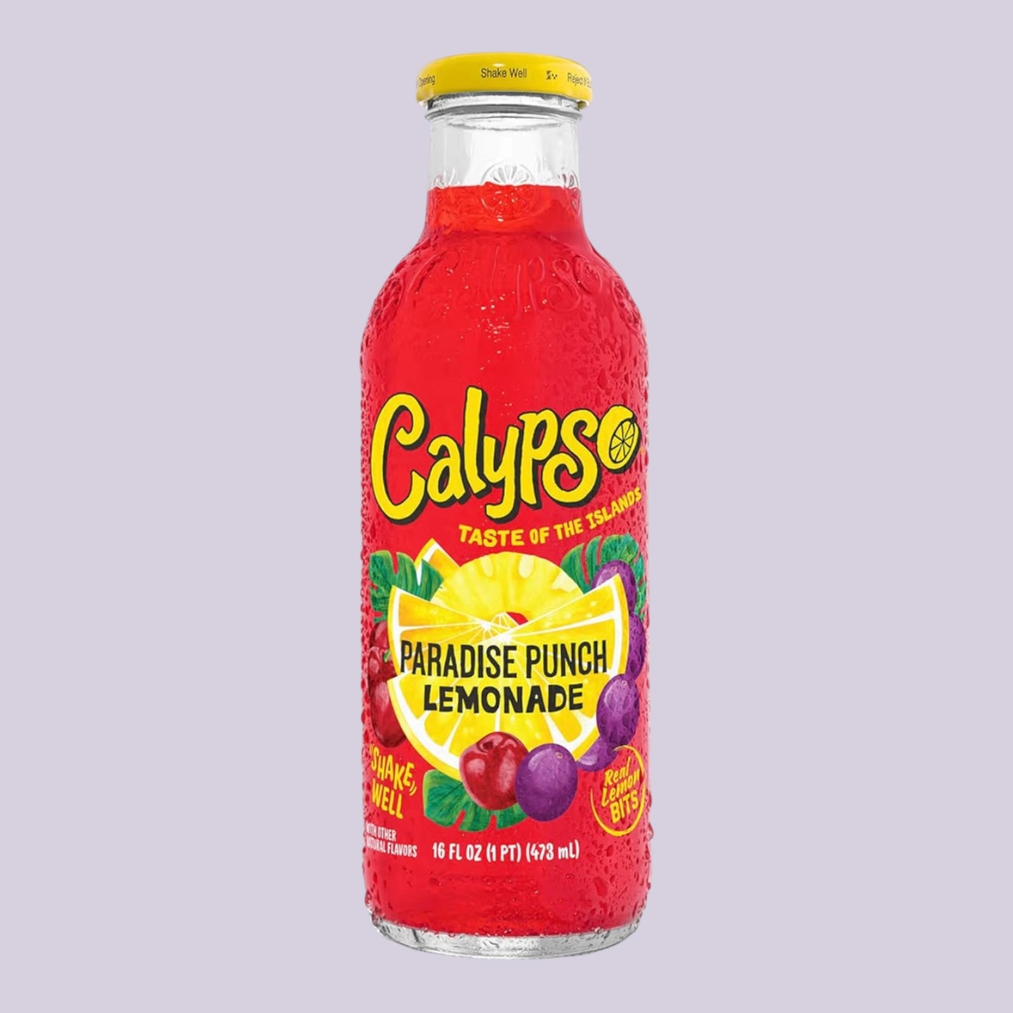 Exotic Fruit Lemonade – Paradise Punch Flavor